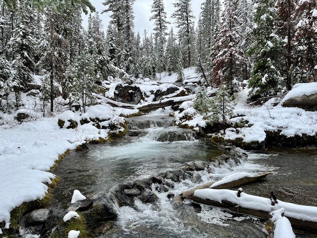 Paulina Falls